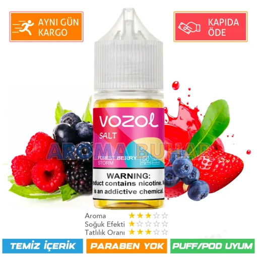 Vozol Likit Forest Berry Storm Salt